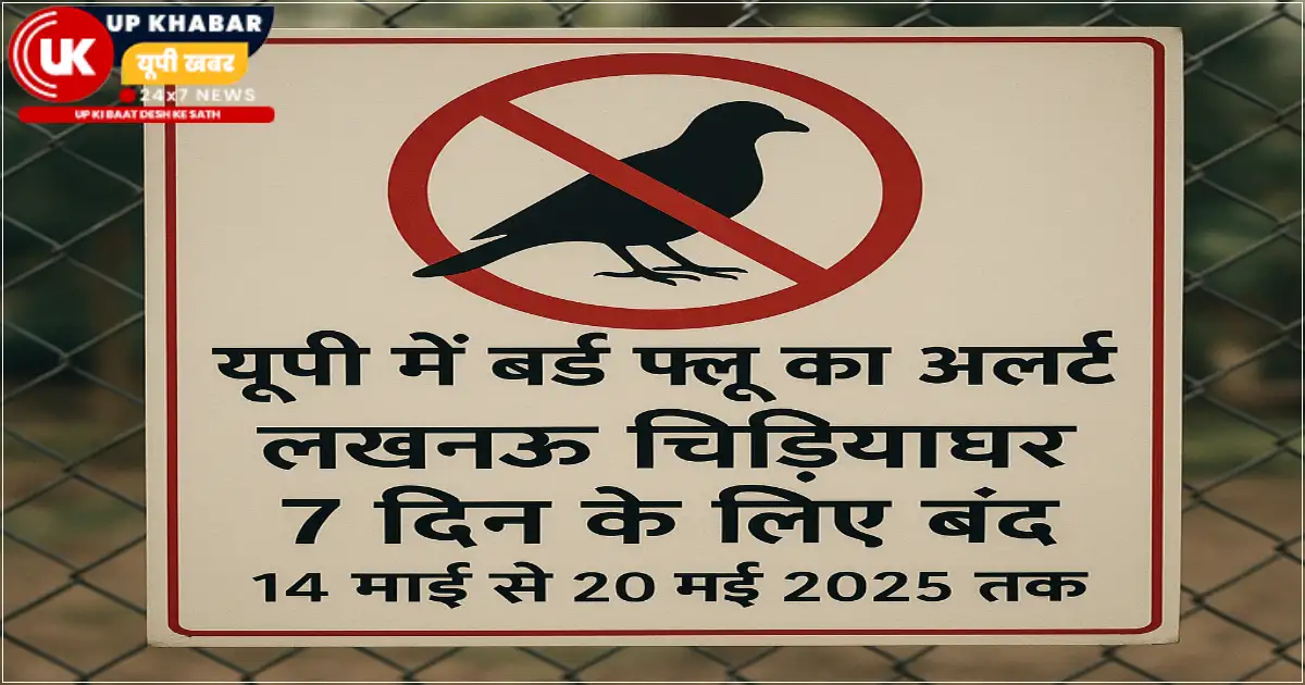 गोरखपुर में बाघिन की बर्ड फ्लू से मौत के बाद लखनऊ चिड़ियाघर को 14 से 20 मई तक बंद कर दिया गया है, हालांकि यहां कोई मामला नहीं है, लेकिन एहतियात बरती जा रही है।